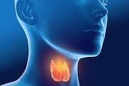 La tiroides. Principales dolencias y remedios naturales