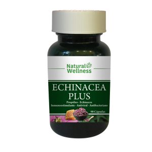 ECHINACEA PLUS